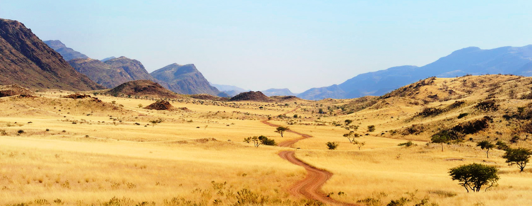 How to Choose an Ethical Safari True Travellers Society